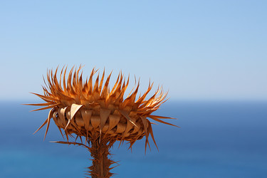 Similar image 282006