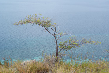 Similar image 282008