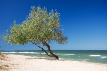 Similar image 282009