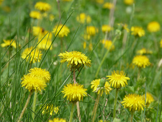 Similar image 282012