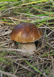 Similar image 282018