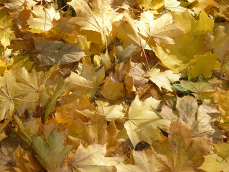 Similar image 282111