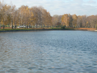 Similar image 282124