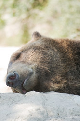 Similar image 282126