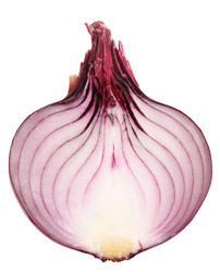 Similar image 282138