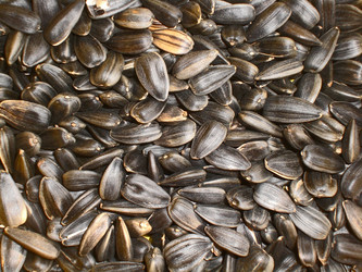 Similar image 282180