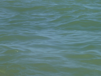 Similar image 282199