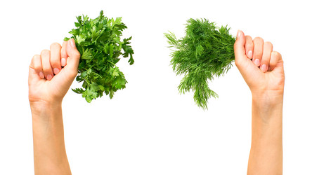 Similar image 282223