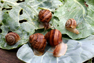 Similar image 282248