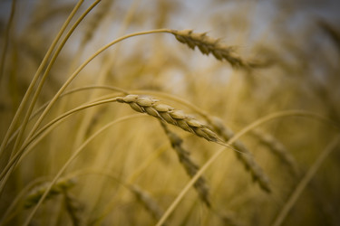 Similar image 282343