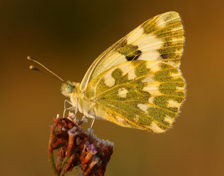 Similar image 282346