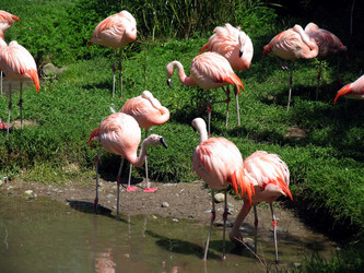 Similar image 282360