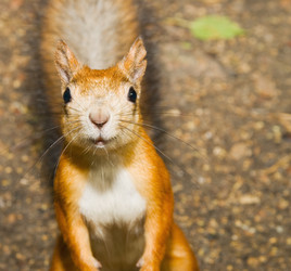 Similar image 282361