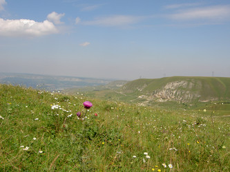 Similar image 282404