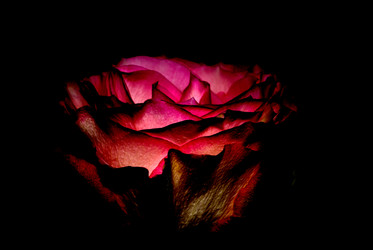 Similar image 282429