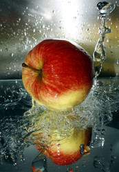 Similar image 282431