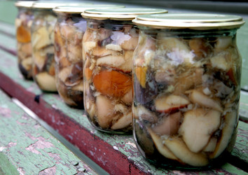 Similar image 282433