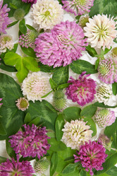 Similar image 282443