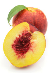 Similar image 282464