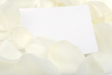 Similar image 282469