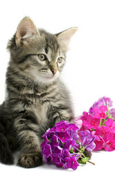 Similar image 282507