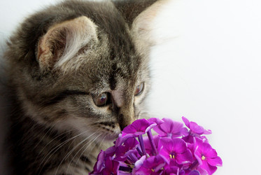 Similar image 282513