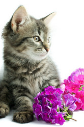 Similar image 282517