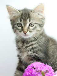 Similar image 282520