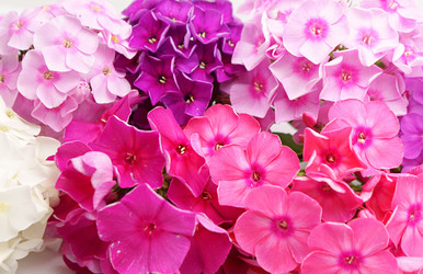 Similar image 282527