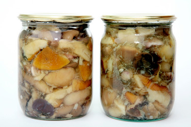 Similar image 282539