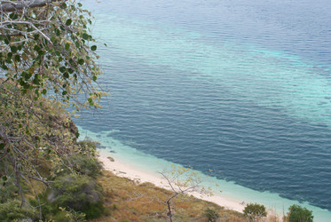 Similar image 282581