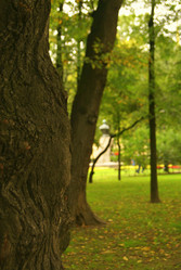 Similar image 282605