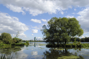 Similar image 282683