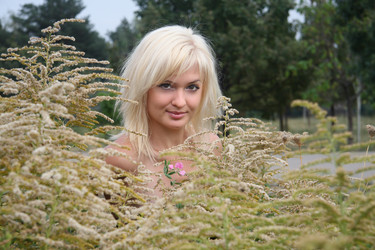 Similar image 282700