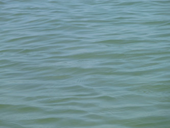 Similar image 282719