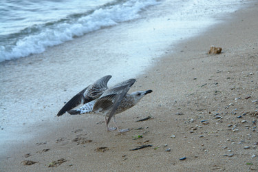 Similar image 282724