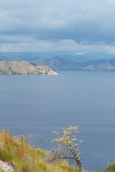 Similar image 282746