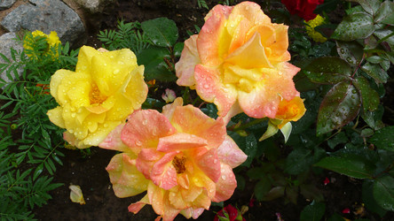 Similar image 282778