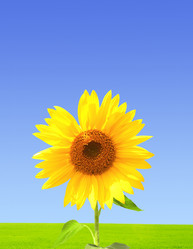 Similar image 282881