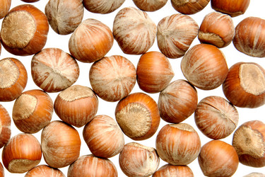 Similar image 282925