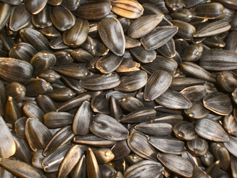 Similar image 282929