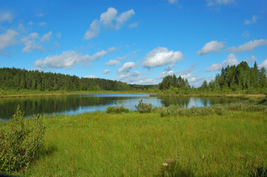 Similar image 282938