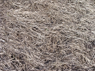 Similar image 282946