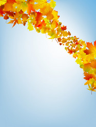 Similar image 282947