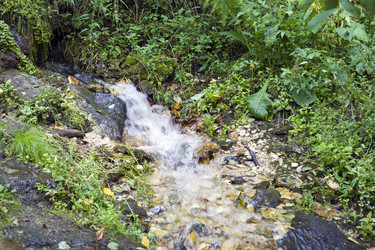 Similar image 282961