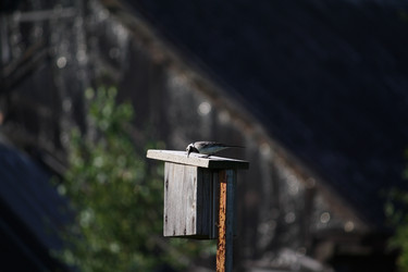 Similar image 282979