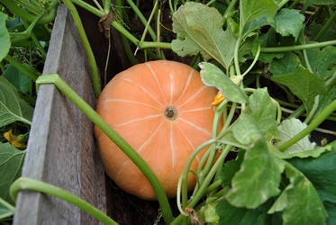 Similar image 283015