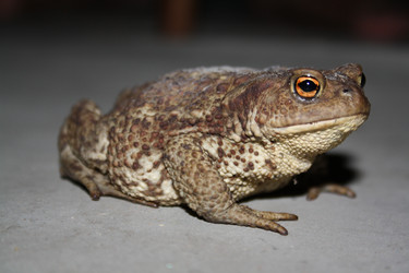 Similar image 283026