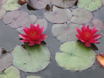 Similar image 283040