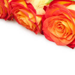 Similar image 283044